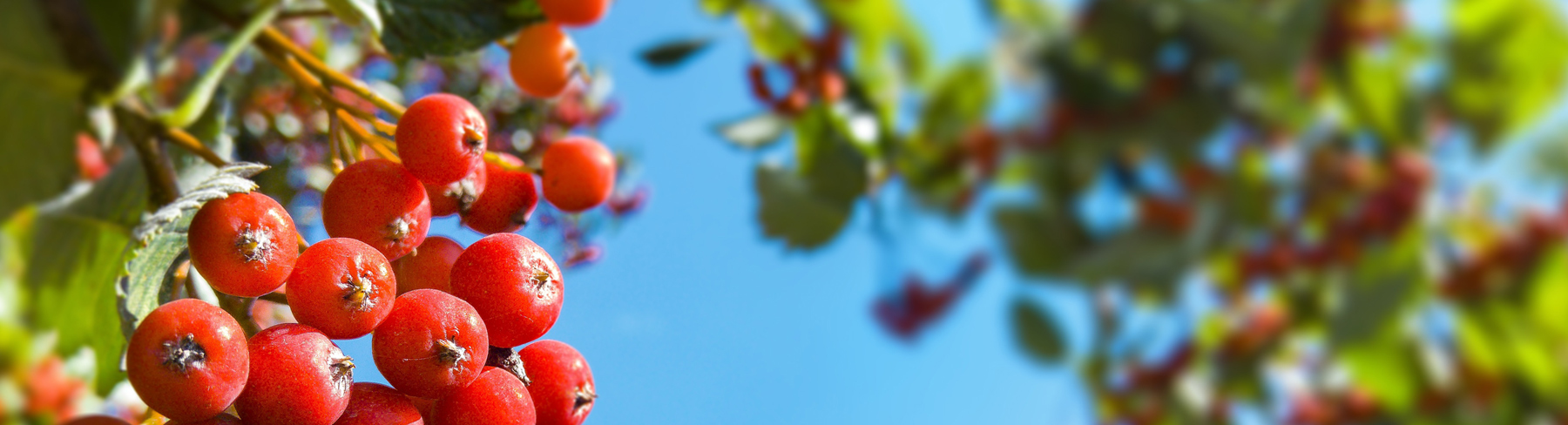 浙江愛知工程機(jī)械有限公司